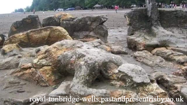 3 Destinasi Wisata Sejarah dan Budaya di Padang